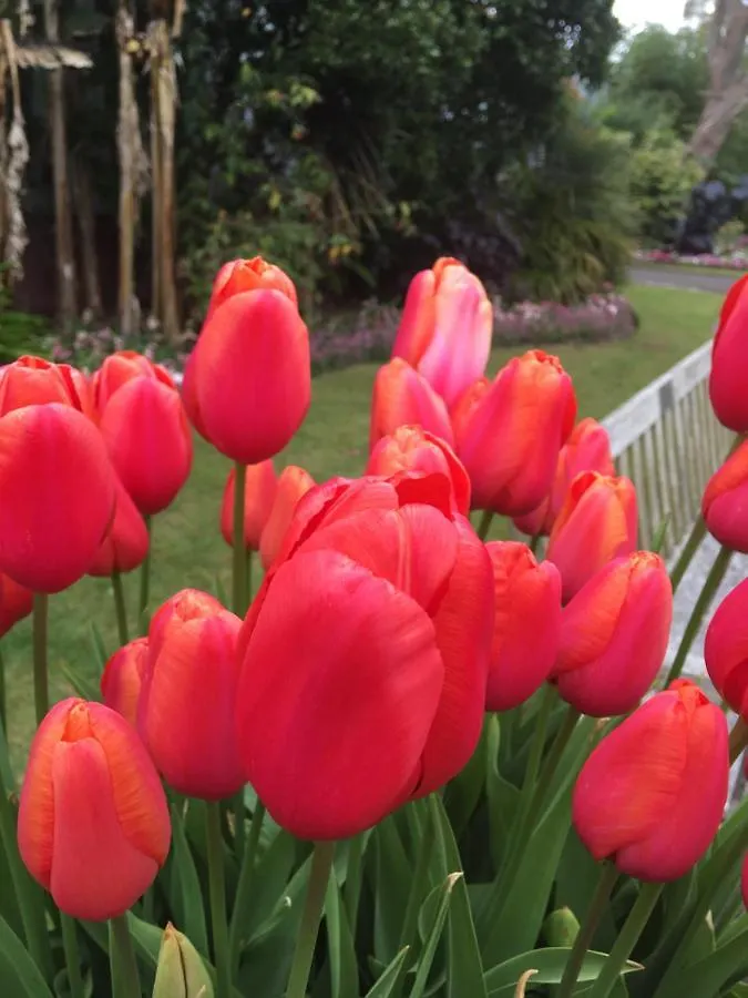 Wynberg House Bed & Breakfast Swansea 3*,  Verenigd Koninkrijk